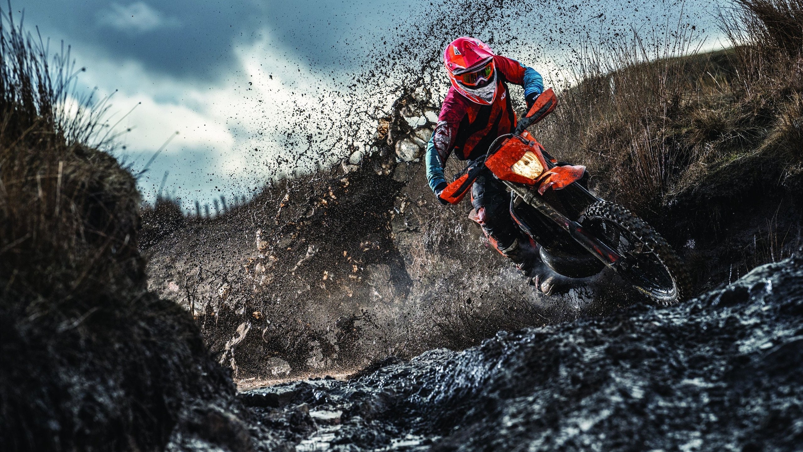 上海大鲨鱼 进攻体系革新，上海大鲨鱼战况